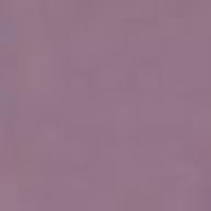 Meet your Posher, Amalia